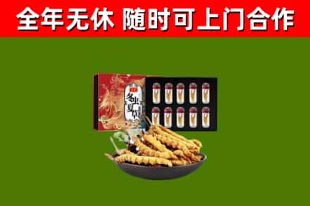 禄丰县回收冬虫夏草价格